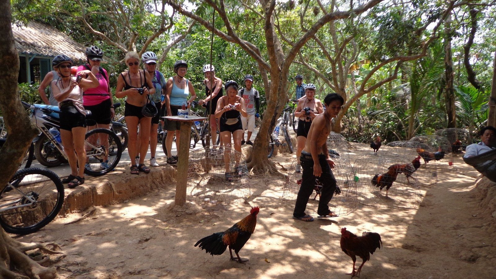 Mekong Delta Cycling Tour 5 Days